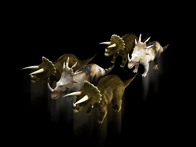 Various Colorful Triceratops Dinosaurs Group on Black Background 3d model