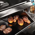 Modern Kitchen Interior With Grill Refrigerator Cabinets Spice Bottles And Potted Plant
