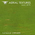 Lush Green Grass Natural Outdoor Landscape With Fresh Texture And Details