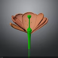 Vibrant Pink Flower With Green Stem Pistil And Yellow Dots On Gray Background