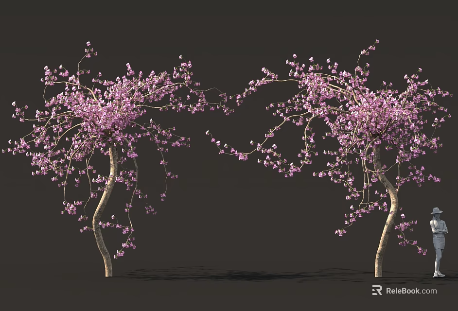 Blooming Trees With Pink Flowers And Light Colored Trunks Against Dark Background 3d model