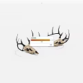 Decorative Deer Skulls With Intricate Antlers For Home Decoration