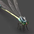 modern dragonfly 3d model