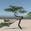 Elegant Arbor Trees With Curved Branches And Green Pine Needles In Minimalist Setting