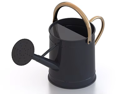 Black Ceramic Watering Can With Golden Handle And Elegant Design For Home Decor 3d model