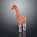 Orange And White Spotted Giraffe Standing On Gray Background With Reflective Surface