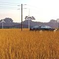 farmland paddy wind power plain 3d model