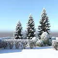 Snow Covered Evergreen Trees In Winter Landscape With Hedges And Blue Sky