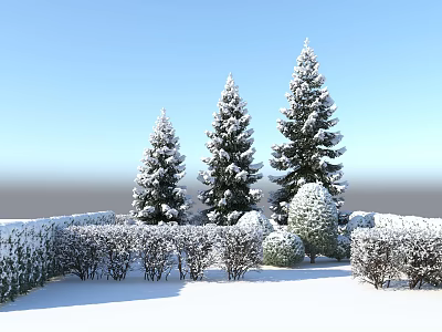 Snow Covered Evergreen Trees In Winter Landscape With Hedges And Blue Sky 3d model