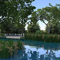 Perfect Serene Natural Landscape With Clear Calm Pond Lush Green Trees And Vibrant Aquatic Plants