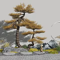 Japanese Style Courtyard Garden with Stylized Pine Tree Moon Shaped Decor Stones Moss and Grasses