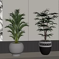 Potted Plants In White And Black Geometric Patterned Pots For Modern Interior Decor 3d model