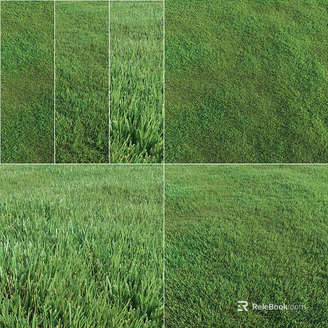 Various Types of Green Natural Grass Lawn Textures for Garden Landscaping 3d model 