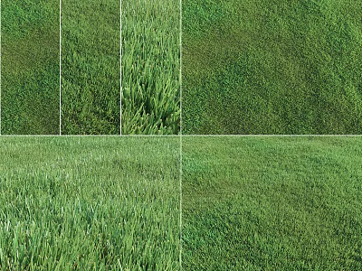 Various Types of Green Natural Grass Lawn Textures for Garden Landscaping 3d model