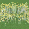 Yellow Flower Shaped Outdoor Lights Arranged On Green Grass Field