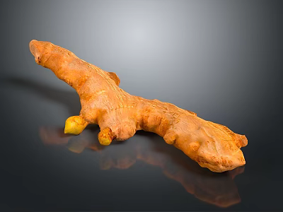 Fresh Organic Ginger Root with Natural Yellow Color for Daily Cooking Spices 3d model