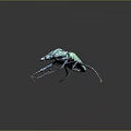 Vibrant Green Blue Golden Metallic Textured Beetle With Long Antennae And Legs