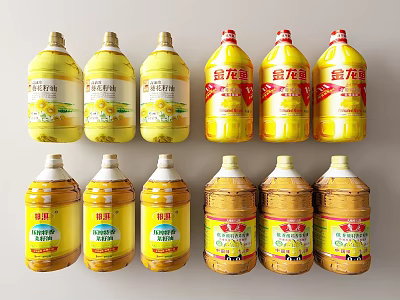 Large Bottles of Various Edible Cooking Oil with Different Brand Labels 3d model