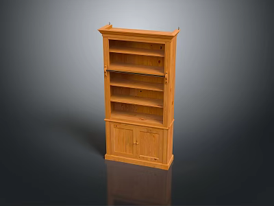Simple Traditional Wooden Bookcase With Multiple Shelves And Lower Cabinet Doors 3d model