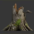 Natural Weathered Tree Stump With Green Moss And Exposed Roots Texture