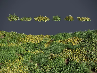 Lush Green Grass And Vibrant Yellow Flowers In Natural Meadow Landscape 3d model