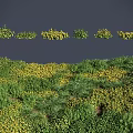 Lush Green Grass And Vibrant Yellow Flowers In Natural Meadow Landscape