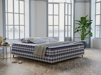 Plaid Pattern Mattress In Bright Bedroom With Large Windows Wooden Floor And Green Plant 3d model