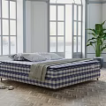 Plaid Pattern Mattress In Bright Bedroom With Large Windows Wooden Floor And Green Plant