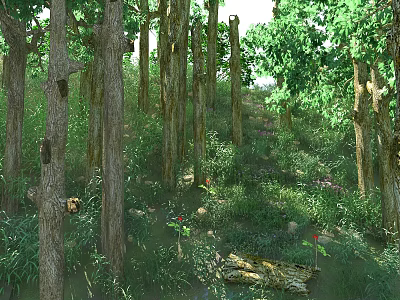 Lush Forest Landscape With Tall Trees Green Vegetation Small Flowers And Fallen Leaves 3d model