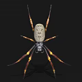 Large Spider With Light Body Long Legs And Yellow Brown Stripes On Black Background