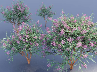Ornamental Flowering Shrubs Featuring Purple Blossoms And Lush Green Foliage 3d model