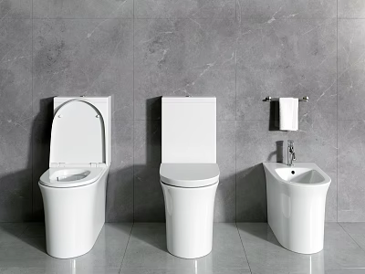 Two Modern White Toilets in Bathroom With Gray Tiled Wall and Washbasin 3d model