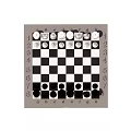 Classic Chess Set With Black And Transparent Pieces On Checkerboard Board
