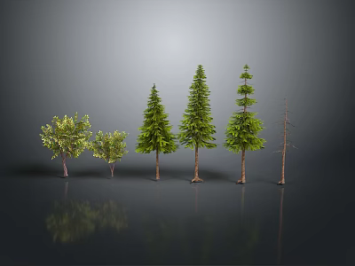 Assorted Trees Including Evergreens and Leafless One Arranged on Dark Surface 3d model