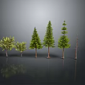 Assorted Trees Including Evergreens and Leafless One Arranged on Dark Surface 3d model