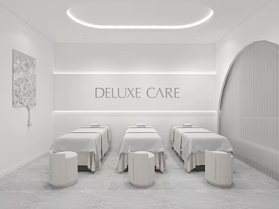 Elegant Luxury SPA Space With Massage Beds And Modern Design 3d model
