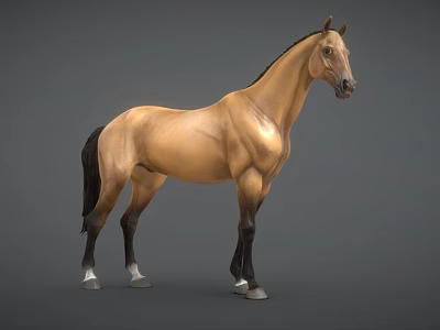 Brown Horse Game Character With Black Mane Tail Muscular Build 3D Rendered 3d model