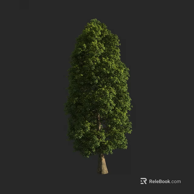 Arbor Tree With Lush Green Foliage And Strong Trunk On Dark Background 3d model 