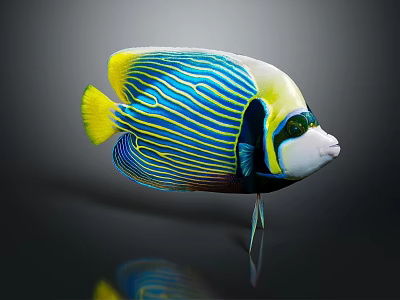 Colorful Tropical Fish with Blue Stripes Yellow Fins and Green Eyes 3d model