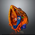 Detailed Anatomical Model of Human Heart Organ with Fine Hair Structures
