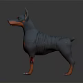 Grey and Orange Doberman Dog Doll Standing 3D Model with Realistic Details