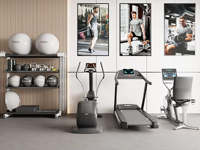 Modern Gym Fitness Equipment With Treadmill Exercise Balls And Training Machines 3d model