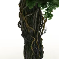Lush Green Arbor Tree With Thick Trunk And Healthy Root System 3d model
