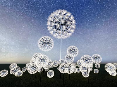 Decorative Dandelion Shaped Outdoor Lights For Garden With Starry Night Sky 3d model