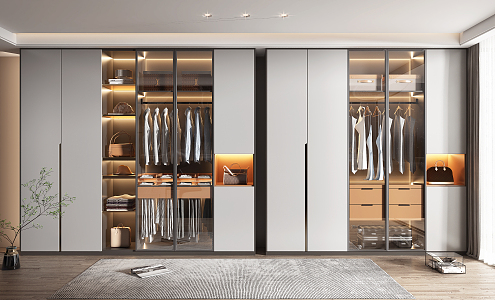 Modern wardrobe 3d model