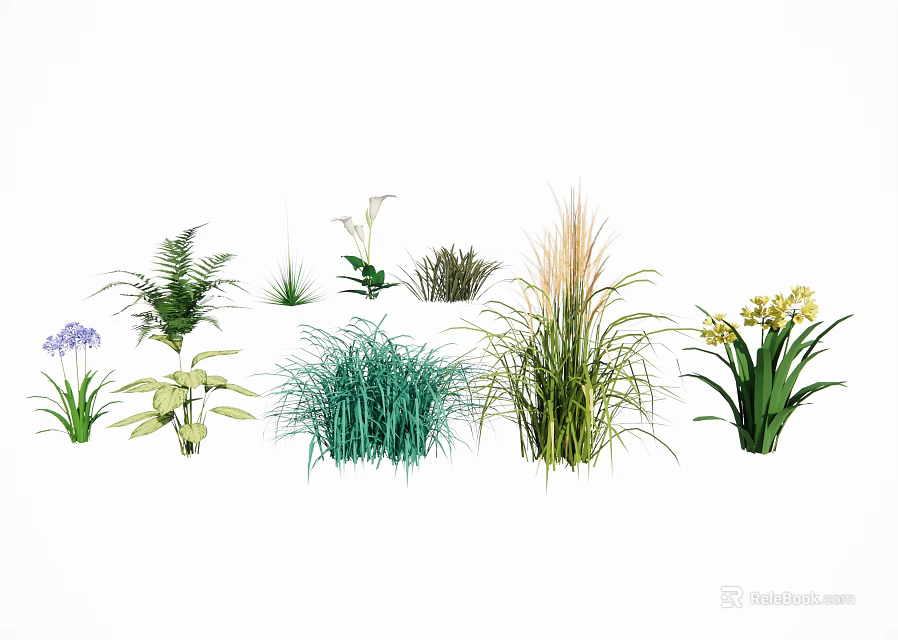 Assorted Garden Flowers And Green Plants With Ferns Ornamental Grasses And Colorful Blooms 3d model 