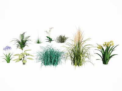 Assorted Garden Flowers And Green Plants With Ferns Ornamental Grasses And Colorful Blooms 3d model