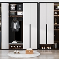 Modern Light Luxury Shoe Cabinet Wardrobe Combination 3d model