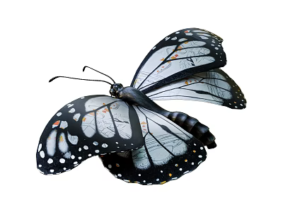 Flying Butterfly With Black And White Spotted Wings And Transparent Sections 3d model