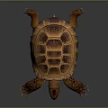 Realistic Tortoise With Brown Yellow Shell And Detailed Textured Skin On Dark Background